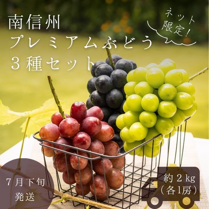 S022 ぶどう　南信州プレミアムぶどう3種セット　約2kg(3房)【冷蔵】　7月下旬～発送