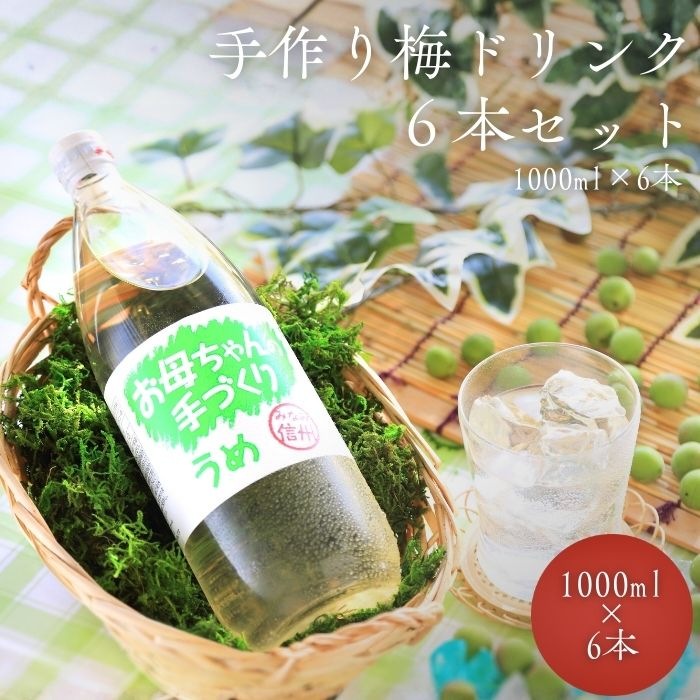 S801 南信州産 手作り梅ドリンク(1000ml×6本)