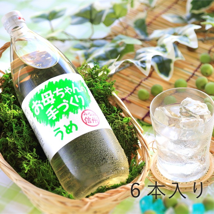 S801　南信州産 手作り梅ジュース(1000ml×6本)