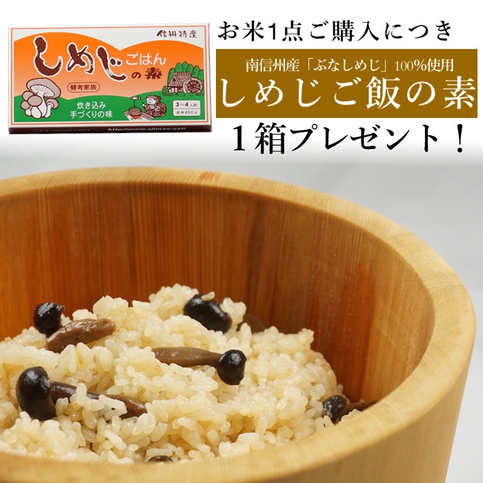 S812　令和6年産　南信州産 コシヒカリ ３kg　