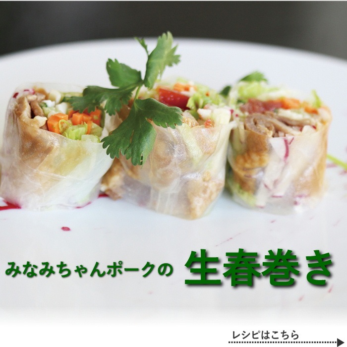 S602　南信州産豚肉100% みなみちゃんポーク【醤油味】(280g×3袋)　【冷凍】