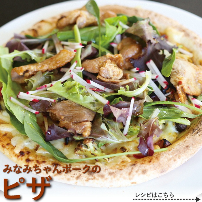 S602　南信州産豚肉100% みなみちゃんポーク【醤油味】(280g×3袋)　【冷凍】