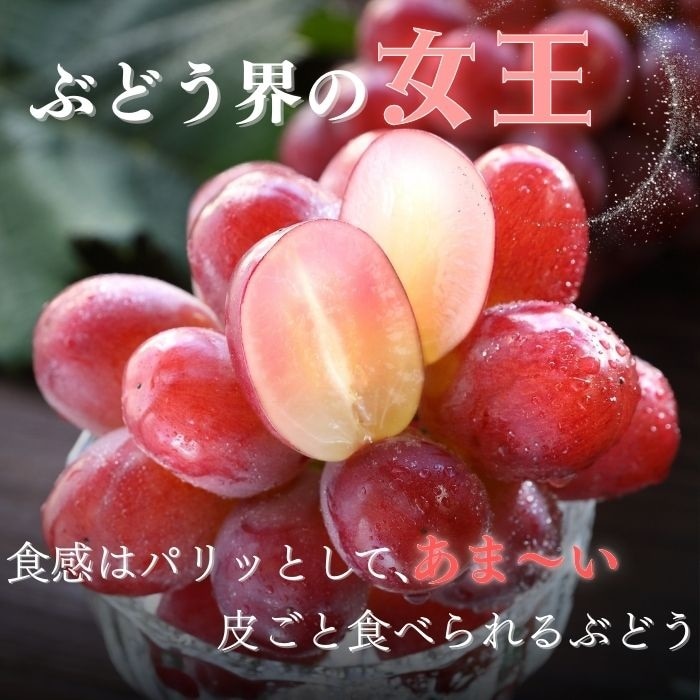 S025 ぶどう クイーンルージュ秀 約2kg(3~4房)【冷蔵】 9月下旬~10月中旬発送