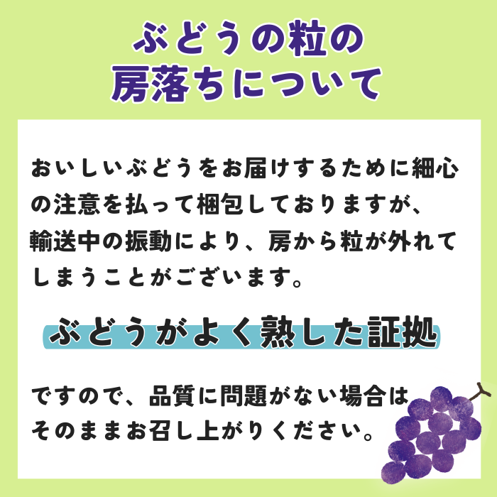 S025 ぶどう クイーンルージュ秀 約2kg(3~4房)【冷蔵】 9月下旬~10月中旬発送