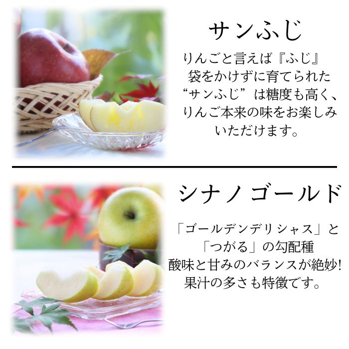 りんご様ご確認ページ 出荷中】山形県産 ご家庭用 りんご 紅玉 4.5kg (訳あり/20玉〜30