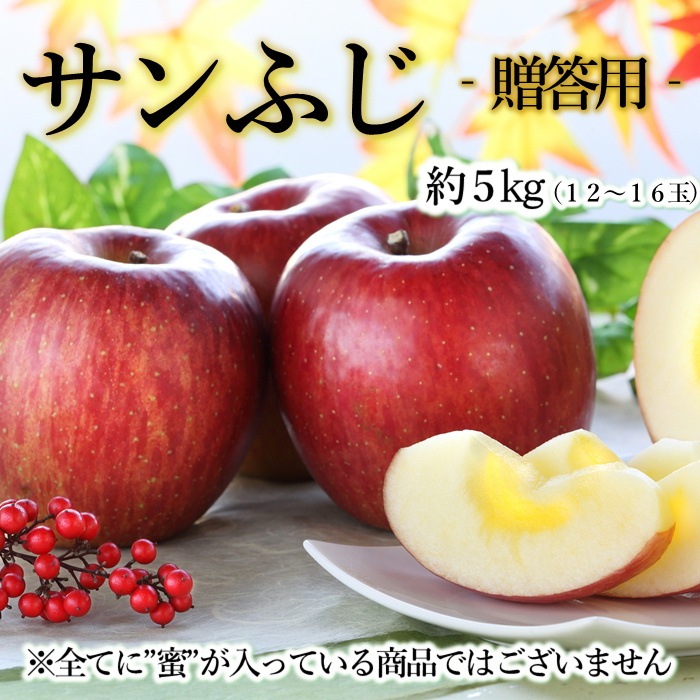 りんご サンふじ 【贈答用】 約5kg(12~16玉) S333 11月下旬~12月中旬発送