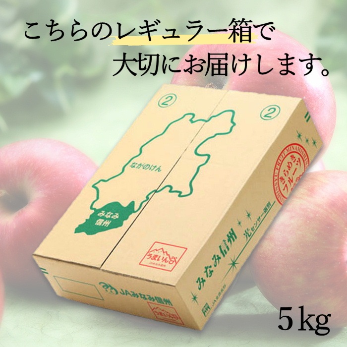 りんご サンふじ 【贈答用】 約5kg(12~16玉) S333 11月下旬~12月中旬発送