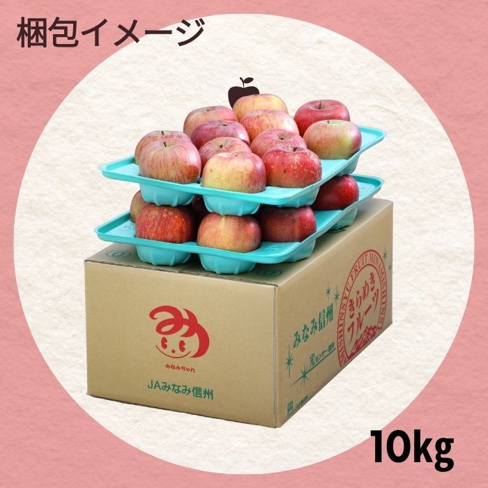 産地厳選　サンふじ　24〜32玉　約10kg クール便発送 りんご サンふじ 【家庭用】 約10kg(24～32玉) S332 11月下旬