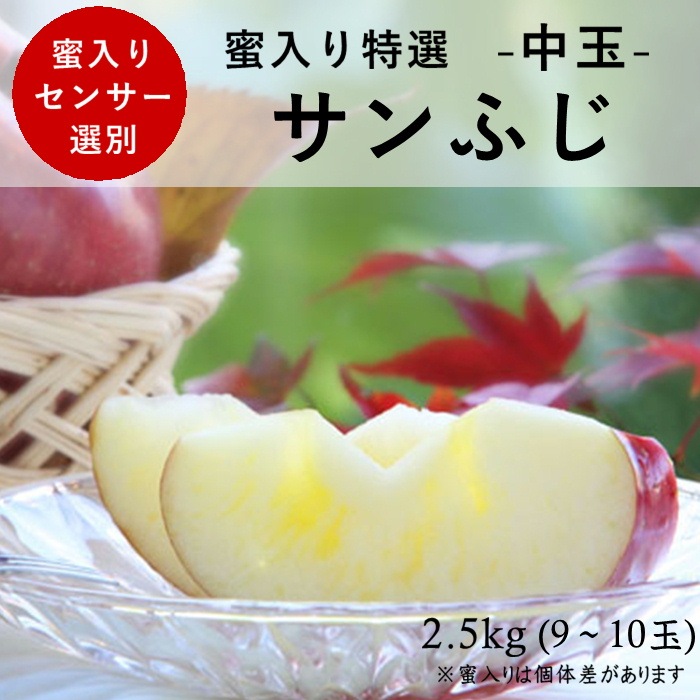 蜜入り特選【中玉】りんご サンふじ 約2.5kg(9～10玉)　S338　11月下旬～12月中旬発送