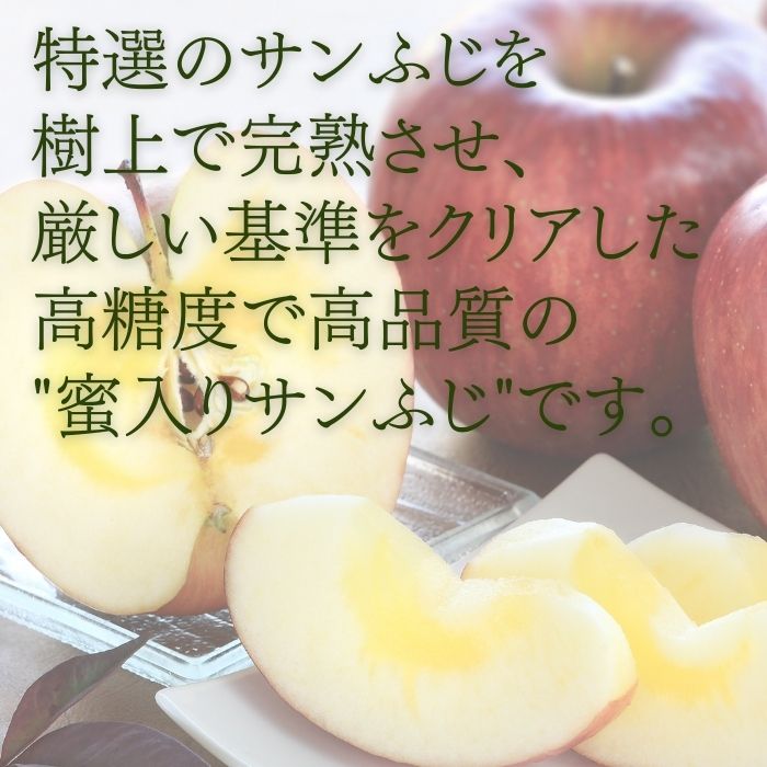 蜜入り特選【中玉】りんご サンふじ 約2.5kg(9～10玉)　S338　11月下旬～12月中旬発送