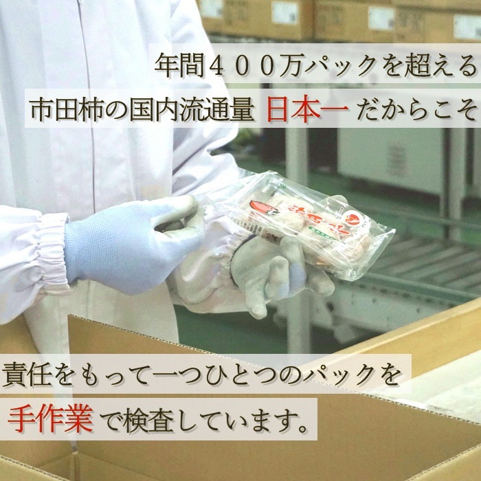 大粒厳選市田柿　約1kｇ(4～6粒×6パック）　S451　 2026年1月中旬～発送