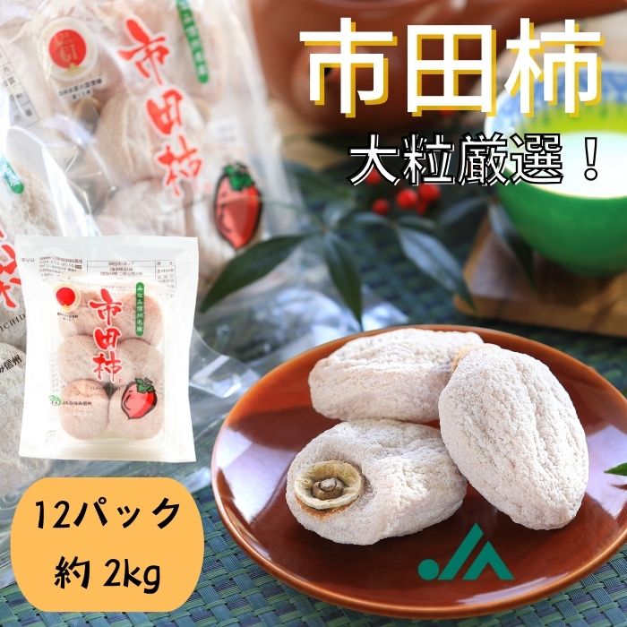 大粒厳選市田柿 約2kg(4~6粒×12パック) S452 12月下旬~発送
