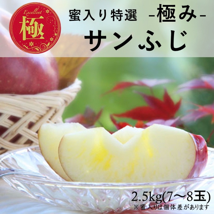 蜜入り特選【極み】りんご サンふじ 約2.5kg(7～8玉)　S339　11月下旬～12月中旬発送