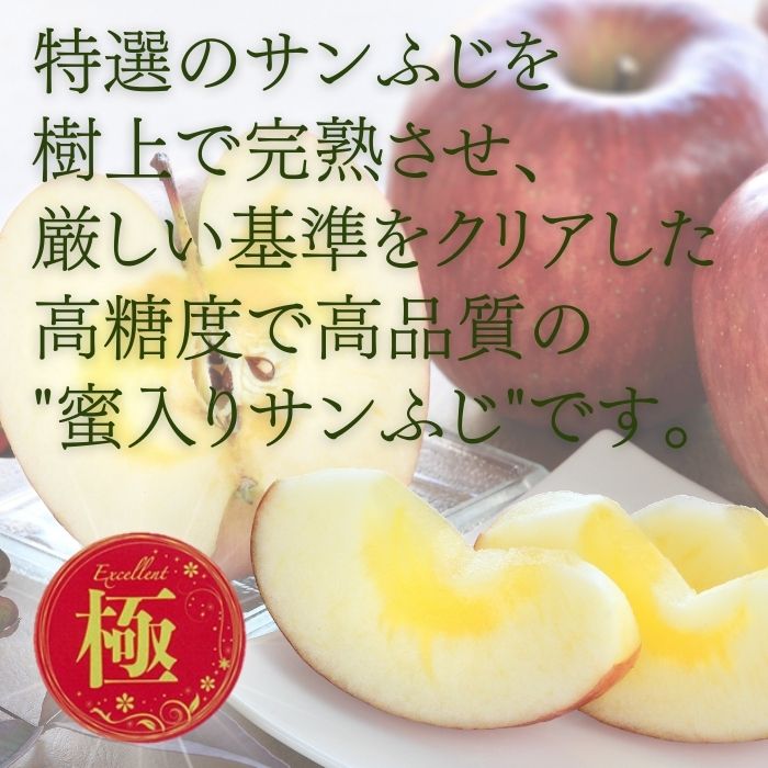 蜜入り特選【極み】りんご サンふじ 約2.5kg(7～8玉)　S339　11月下旬～12月中旬発送