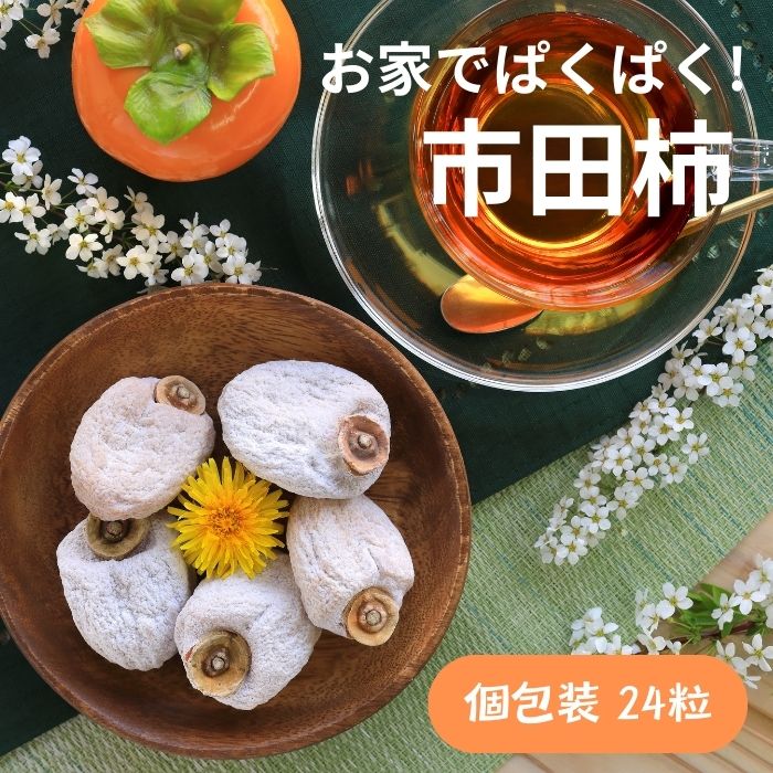 S416 お家でぱくぱく!市田柿 個包装大粒24粒入 2025年12月中旬以降~発送
