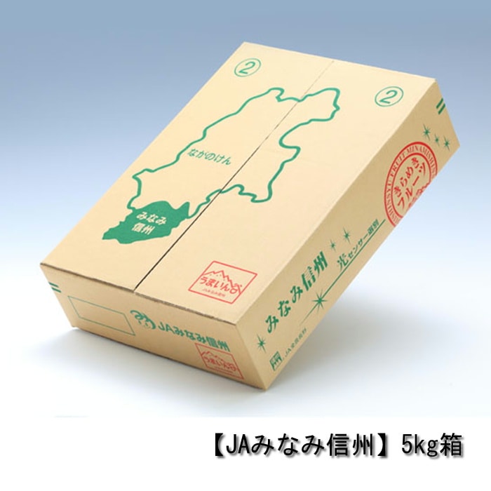 りんご サンふじ（特殊貯蔵品） 約5kg(12～16玉) S367