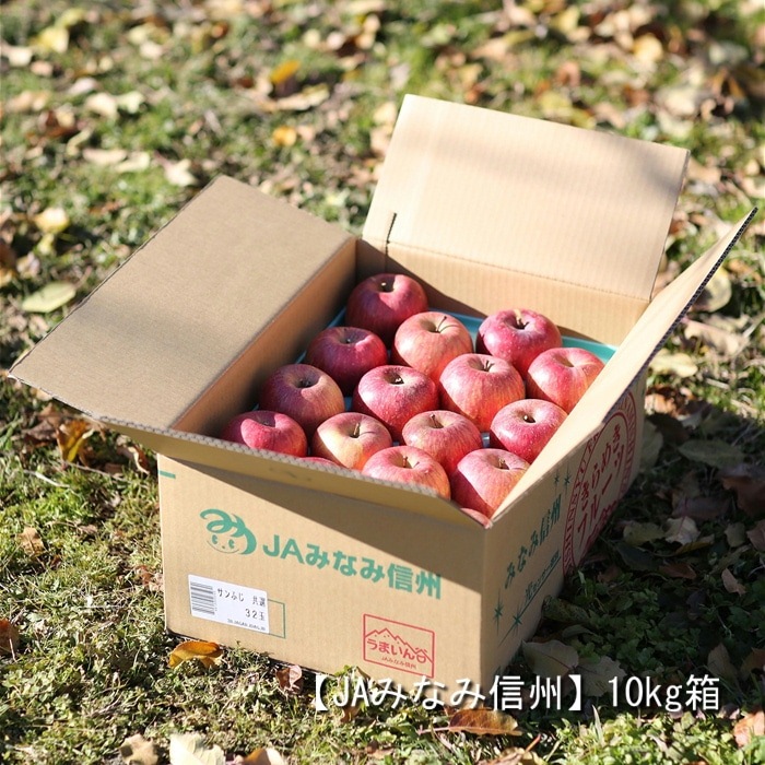 りんご サンふじ（特殊貯蔵品） 約10kg(24～32玉) S368