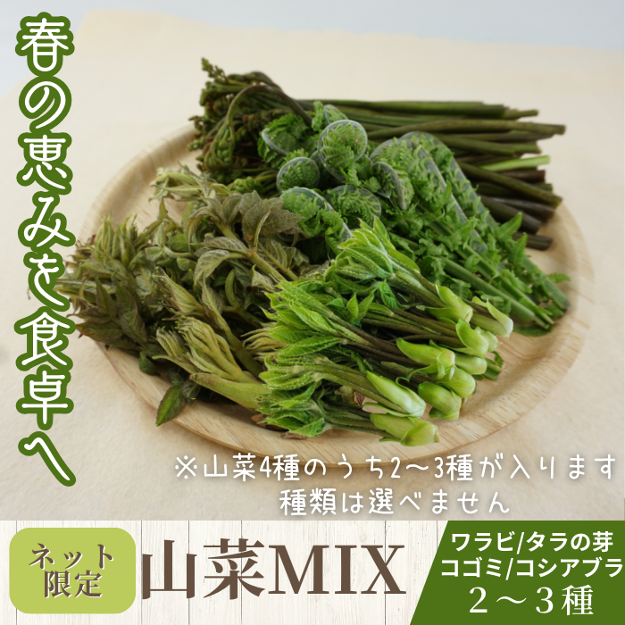 山菜MIX 2～3種　S731