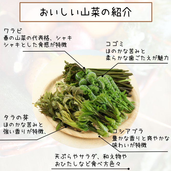 山菜MIX 2～3種　S731