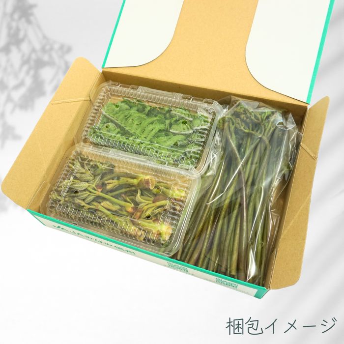 山菜MIX 2～3種　S731