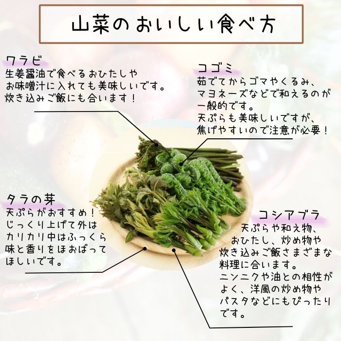 山菜MIX 2～3種　S731