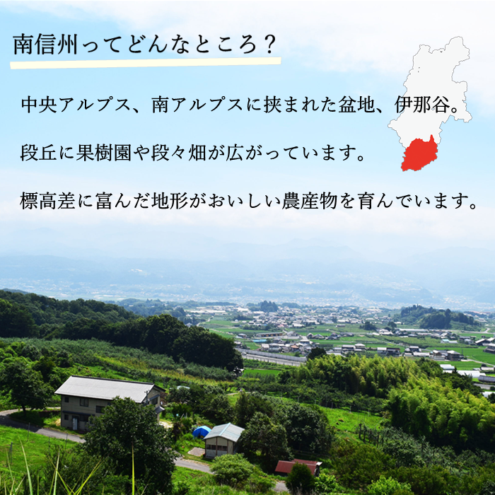 S413 干し柿 市田柿 バラふぞろい 3kg(1kg箱×3箱)　12月下旬～発送