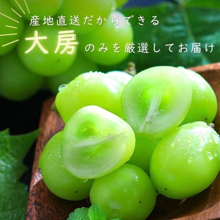 S002ad ぶどう　シャインマスカット約2kg(3～5房)【冷蔵】9月中旬～10月上旬発送