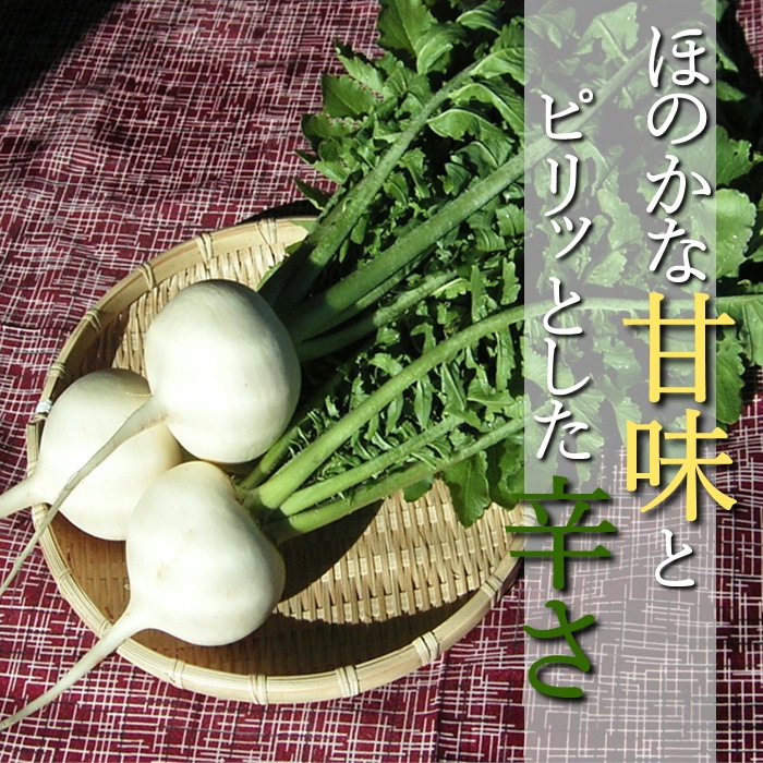 親田辛味大根(大玉)　＆　乾蕎麦セット　S937