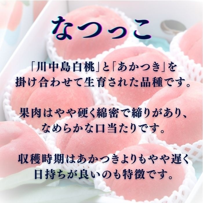 S151　桃　なつっこ【太鼓判】約2.3kg(6～7玉)　【冷蔵】 8月上旬～発送