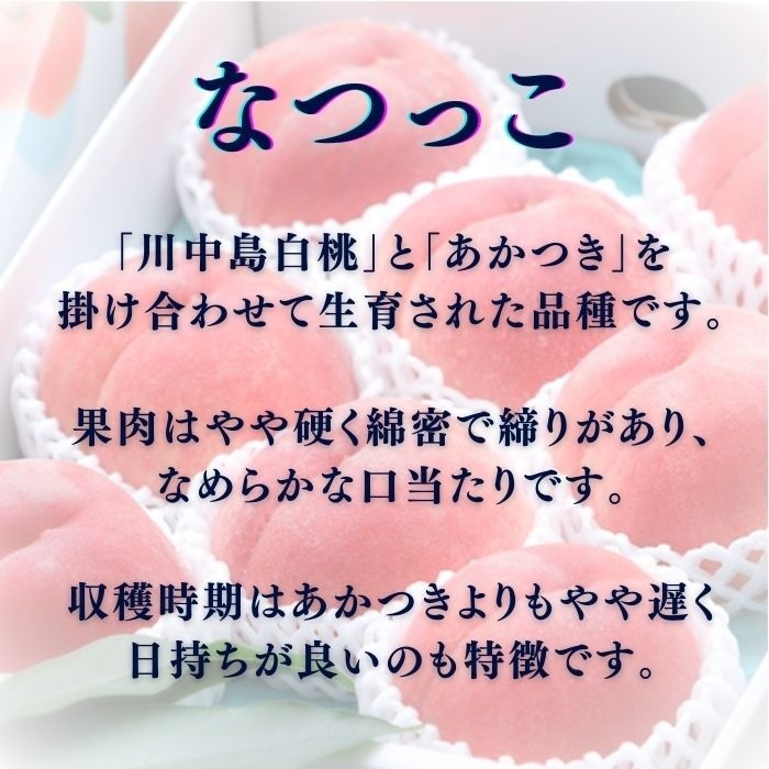 S151　桃　なつっこ【太鼓判】約2.6kg(7～8玉)　【冷蔵】 8月上旬～発送