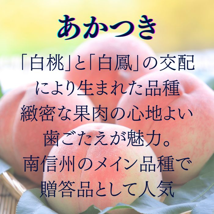 S102　桃　あかつき【太鼓判】約2.6kg(7～8玉)　【冷蔵】 7月下旬～発送