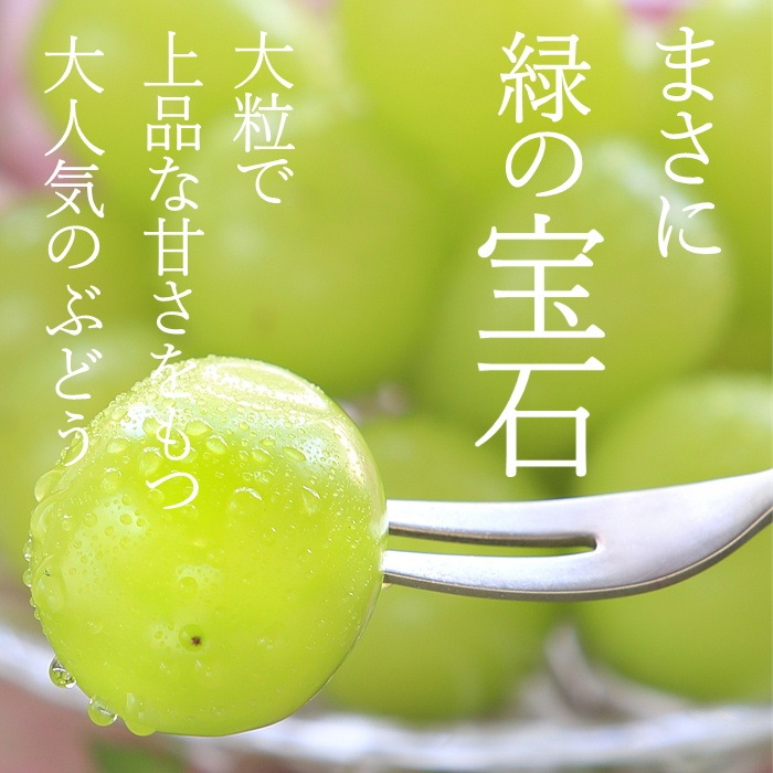 S002 ぶどう　シャインマスカット約2kg(3～5房)【冷蔵】10月上旬～10月中旬発送