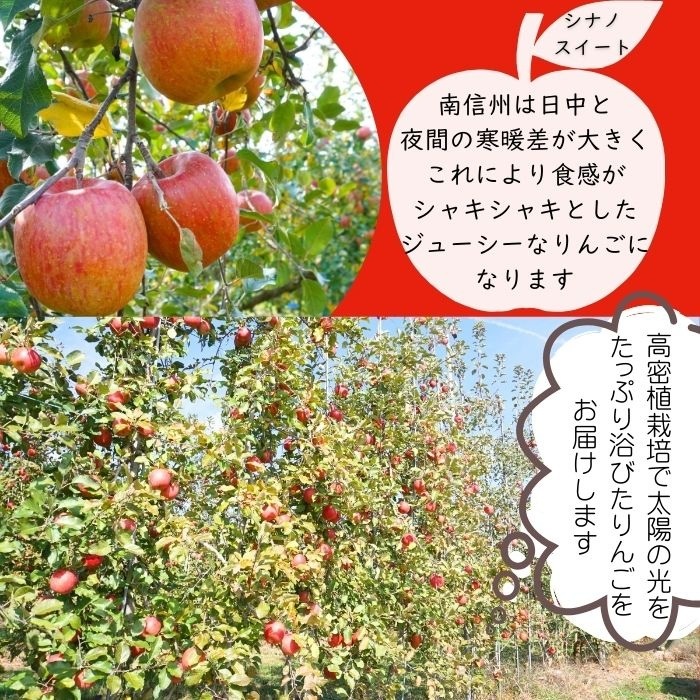 秋田県のりんごで産地直送の商品｜食べチョク｜産地直送(産直)お
