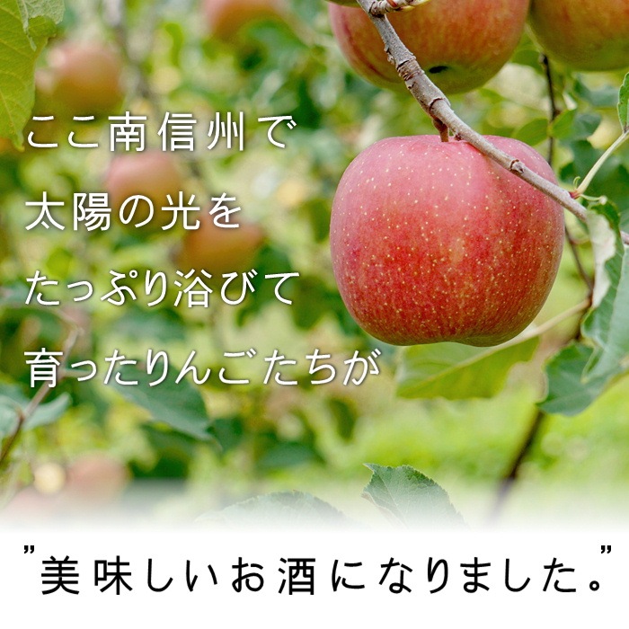 S841 南信州座光寺産 シードル THE COZY 辛口・甘口各1本