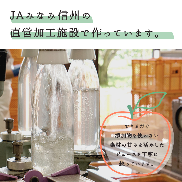 S804 南信州産 手作りりんごジュース(1000ml×2本)