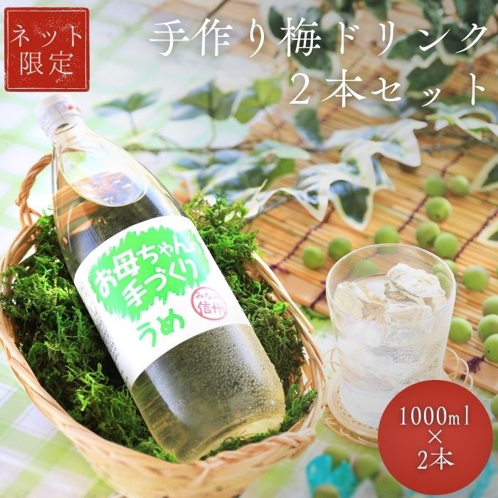 S803　南信州産 手作り梅ドリンク(1000ml×2本)