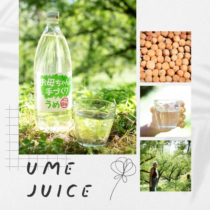 S803 南信州産 手作り梅ドリンク(1000ml×2本) | すべての商品 | JA