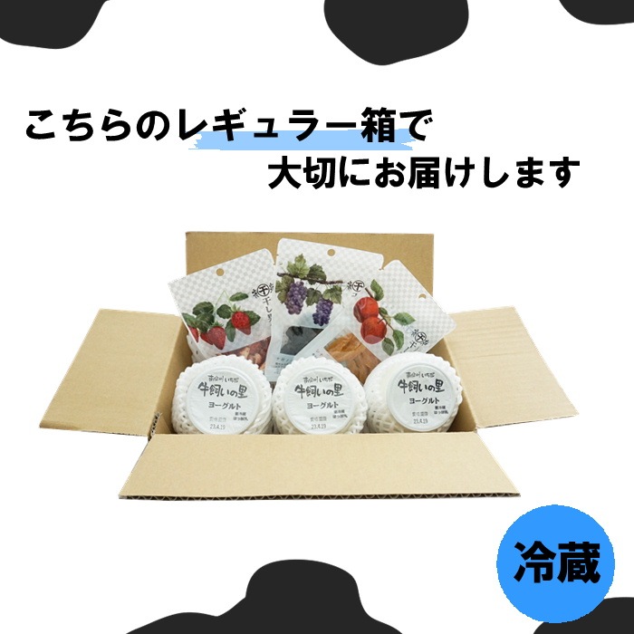 おまかせドライフルーツ×南信州ヨーグルトセット S852(冷蔵)