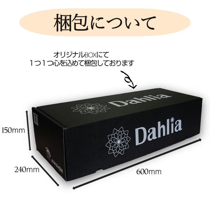 クリスマスダリア 9~11本 S724 12月中旬発送