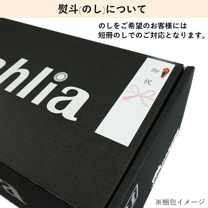 クリスマスダリア 9~11本 S724 12月中旬発送