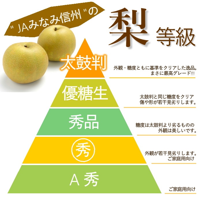 S209 梨 南水【太鼓判】（特殊貯蔵品）約5kg(12玉)［冷蔵］　11月中旬～発送