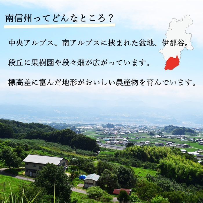 ひんやり市田柿 1.8kg（150g×12パック） 干し柿 【冷蔵】 S443　５月上旬～発送