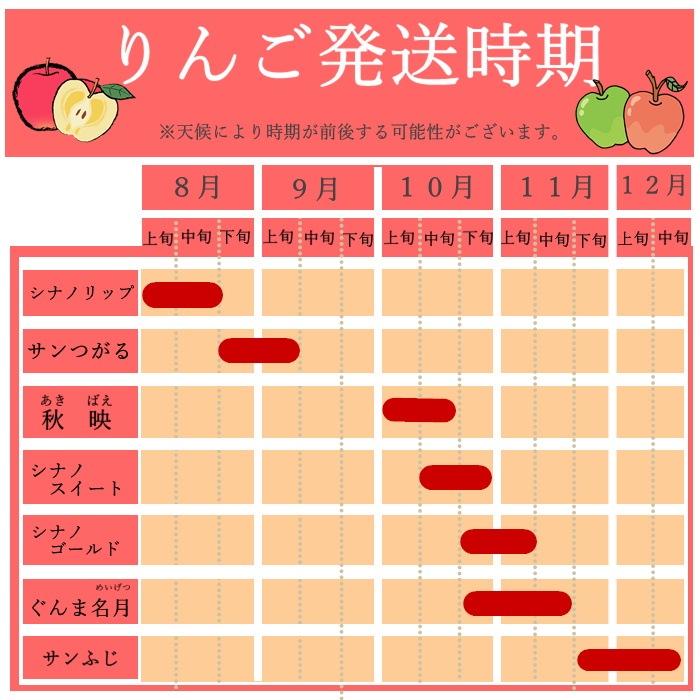 S341 　りんご　シナノリップ　中玉　約2.5ｋｇ(8～10玉)　8月上旬～発送