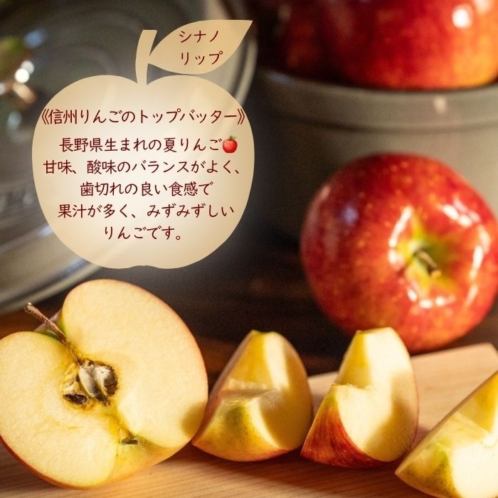 S341 　りんご　シナノリップ　中玉　約2.5ｋｇ(8～10玉)　8月上旬～発送