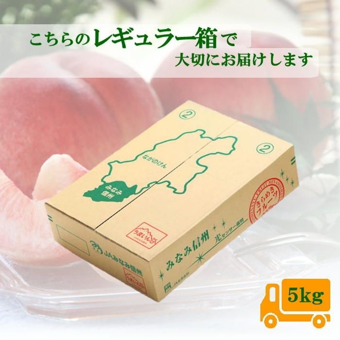 S115　桃　白鳳　ご家庭用【秀】約5kg(12～16玉)【冷蔵】7月下旬～発送