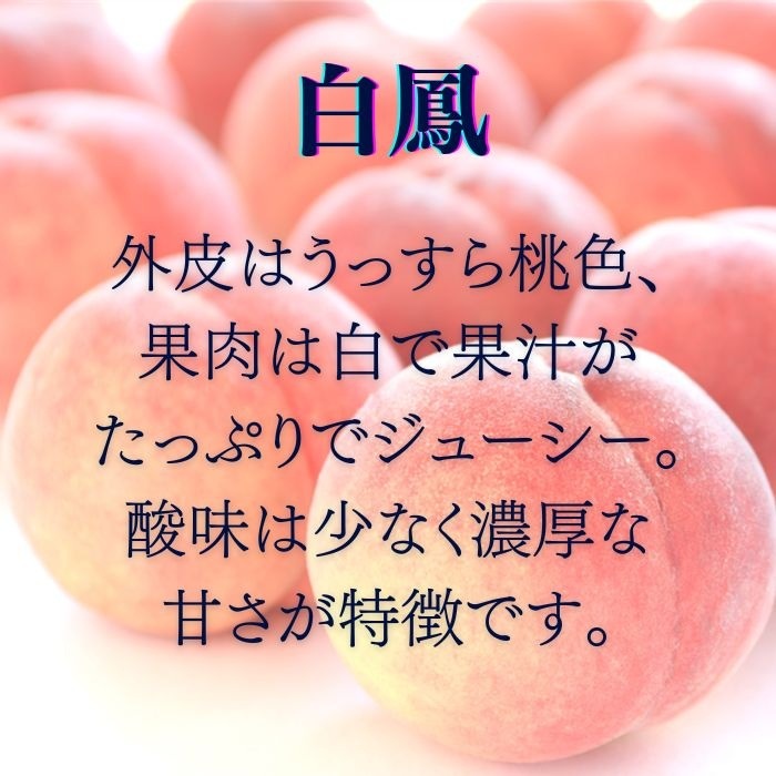 S115　桃　白鳳　ご家庭用【秀】約5kg(12～16玉)【冷蔵】7月下旬～発送