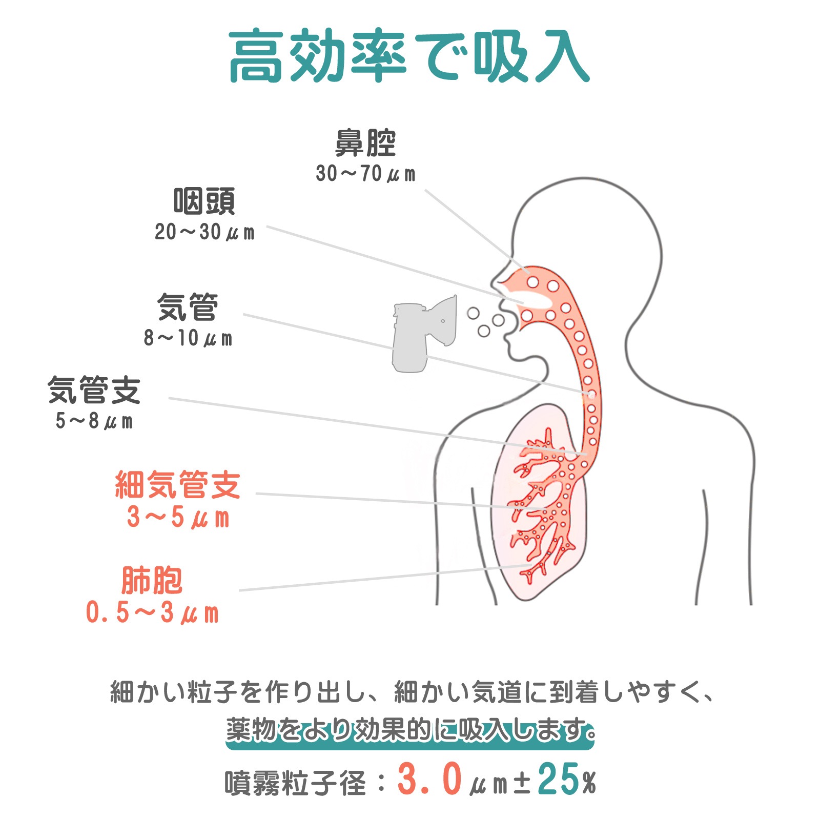 充電式 ネブライザー ME027