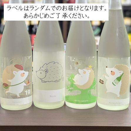 19 Riccio-ϥͥ-  R6BY(1800ml)٥ϥǤΤϤȤʤޤ