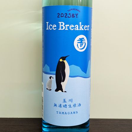 ���� Ice Breaker ���ƶ�� ̵���������� 2025BY(500ml)