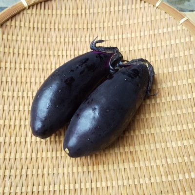【訳あり12】千両なす　10kg　夏秋ナス　茄子　夏野菜　産地直送　期間限定 訳あり11】千両なす 10kg 夏秋ナス 茄子 夏野菜 産地直送 期間